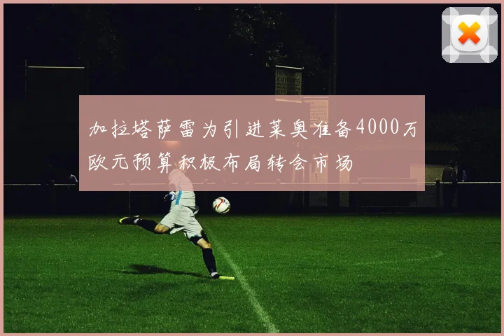 加拉塔萨雷为引进莱奥准备4000万欧元预算积极布局转会市场