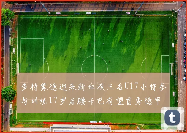 多特蒙德迎来新血液三名U17小将参与训练17岁后腰卡巴有望首秀德甲
