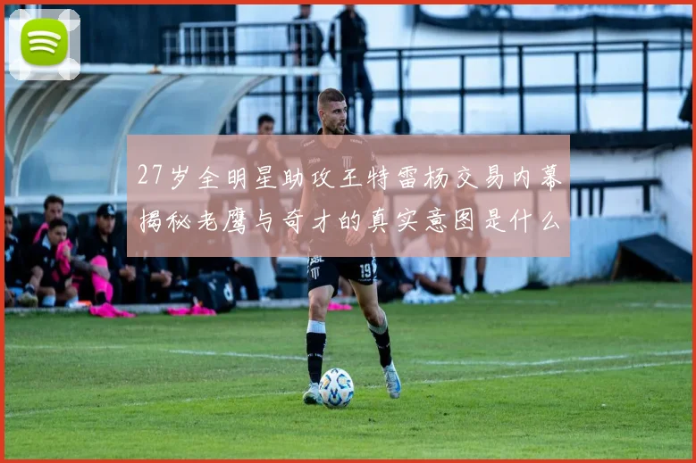 27岁全明星助攻王特雷杨交易内幕揭秘老鹰与奇才的真实意图是什么